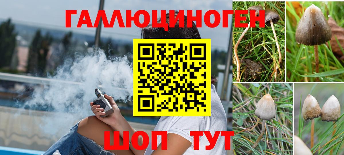 Галлюциногенные грибы ЛСД  Вход с VPN  Шарыпово 