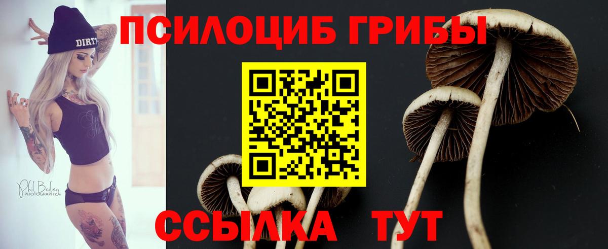 Псилоцибиновые грибы Magic Shrooms Шарыпово